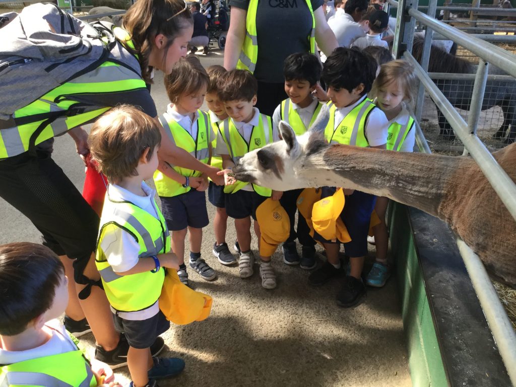 children from a prep school in London feeding a horse