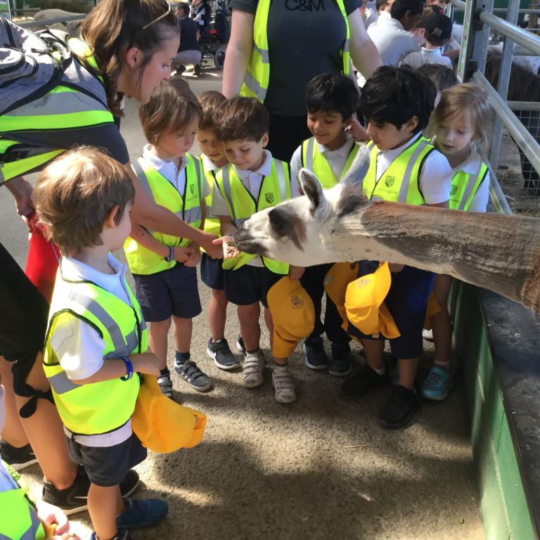 children from a prep school in London feeding a horse