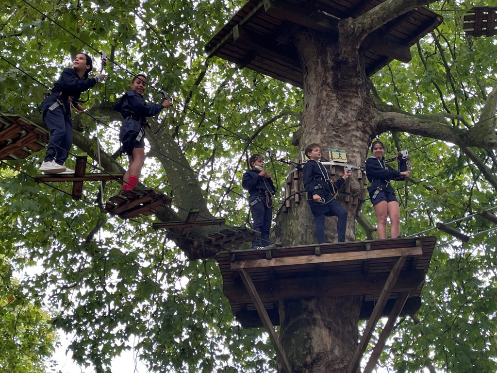 children up a tree house