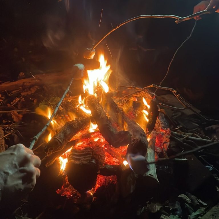 marshmallows being cooked over an open fire